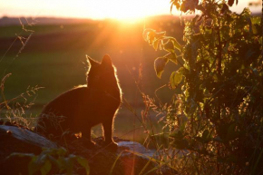 Ferienwohnung Sonnenaufgang Amtzell